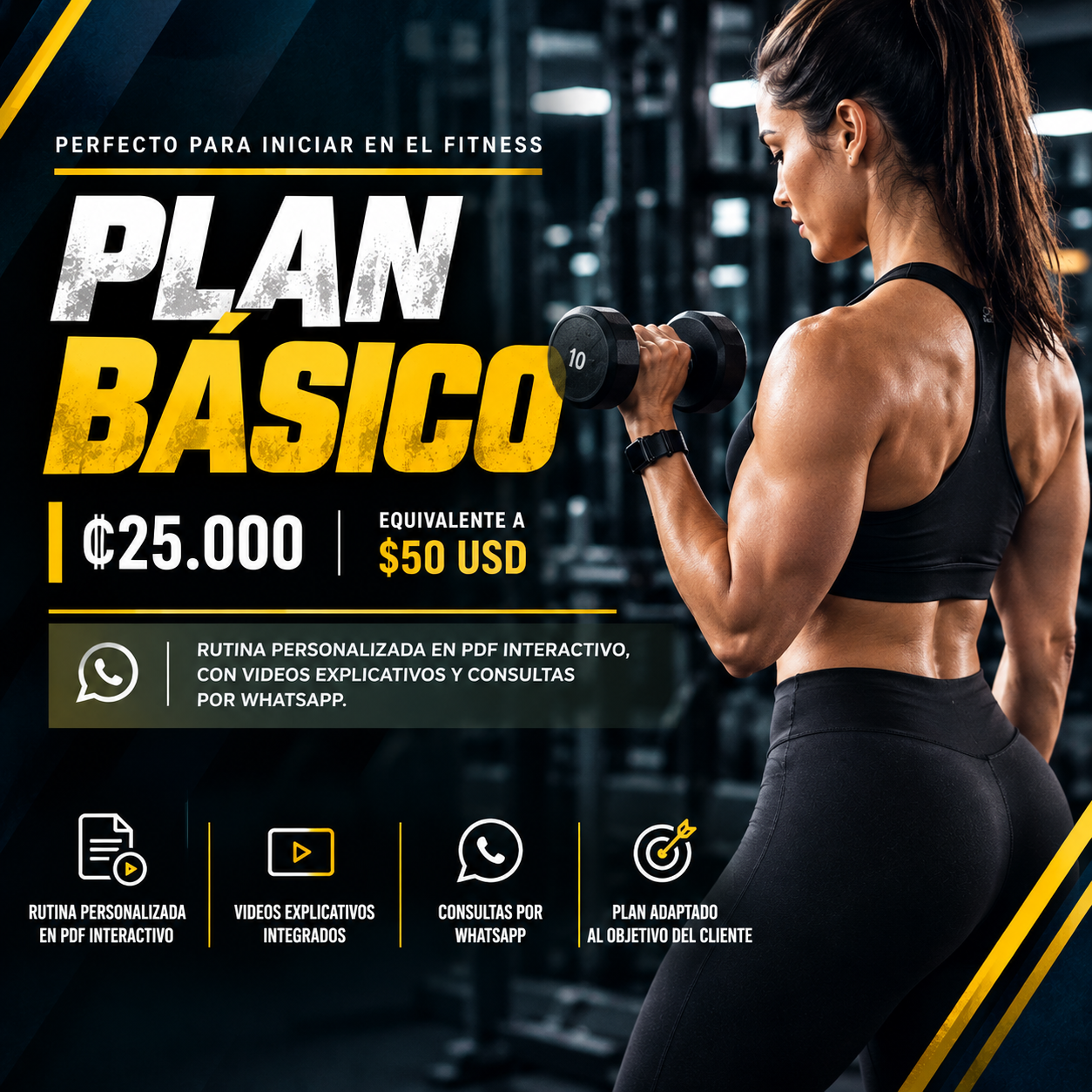 Plan Básico